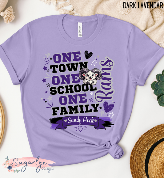 Sandy Hook Rams -- One Town, One School, One Family