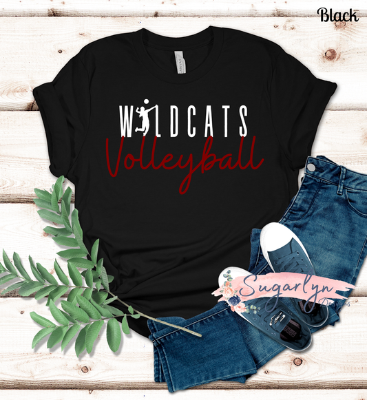 Wildcats Volleyball - Modern Script